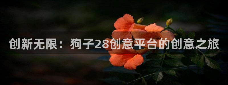 飞星聚彩：创新无限：狗子28创意平台的创意之旅