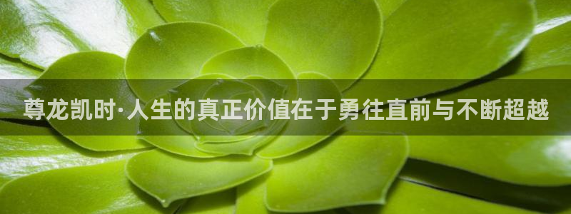聚彩堂免费资料大全最新：尊龙凯时·人生的真正价值在于勇往直前与不断超越