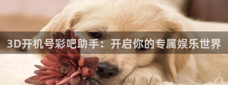 聚彩传媒：3D开机号彩吧助手：开启你的专属娱乐世界