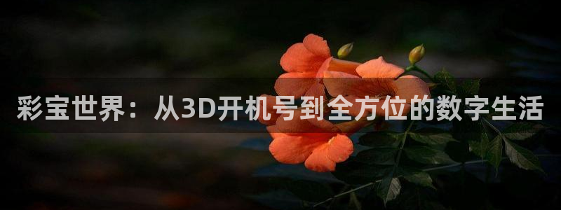 聚彩app官方正版：彩宝世界：从3D开机号到全方位的数字生活