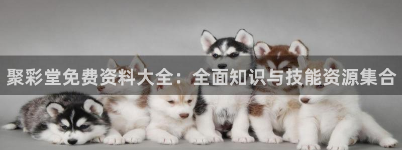 新的聚彩官网：聚彩堂免费资料大全：全面知识与技能资源集合
