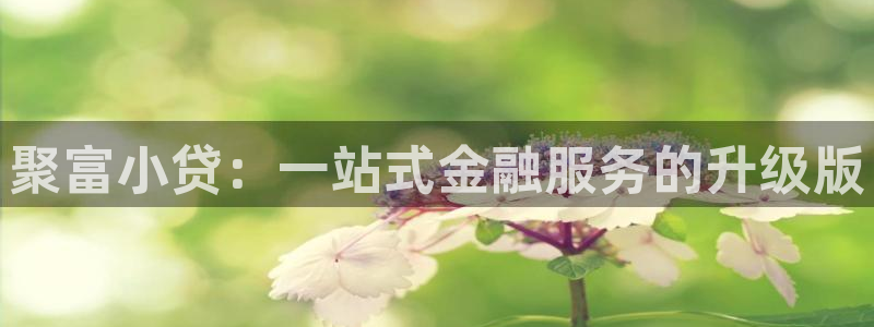 深圳聚彩科技：聚富小贷：一站式金融服务的升级版