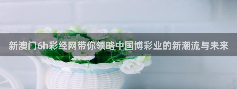 新澳门6h彩经网带你领略中国博彩业的新潮流与未来