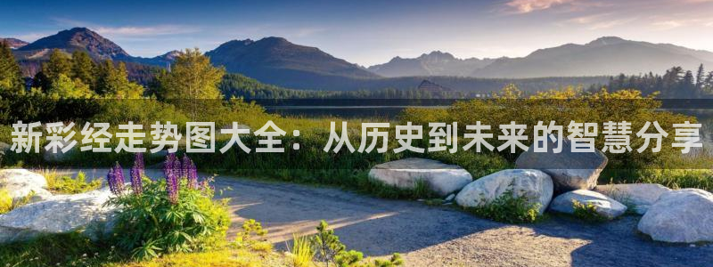 联合聚彩光电：新彩经走势图大全：从历史到未来的智慧分享