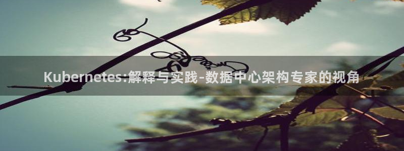 聚彩堂致力打造：Kubernetes:解释与实践-数据中心架构专家的视角